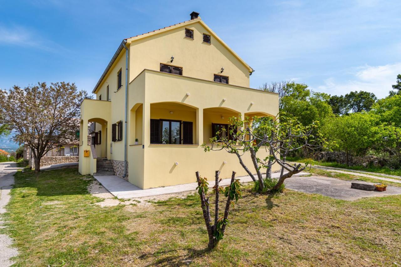 Apartment Marija Novigrad  Eksteriør bilde